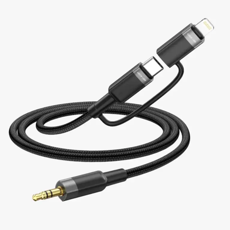 Green Lion 2 IN 1 AUDIO CABLE 1M USB-C, LIGHTNING TO 3.5 MM AUX