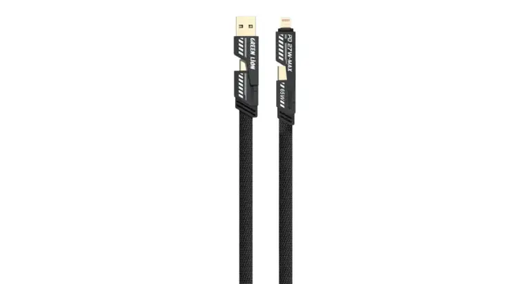 Green Lion 2-In-2 Braided Fast Charging Cable