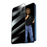 Green Lion 9H Steve Privacy Full Glass Screen Protector For iPhone 12 Pro Max