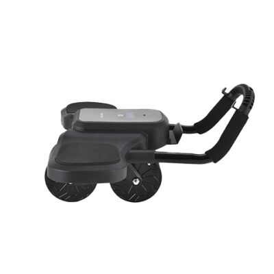 Green Lion Abs Exercise Roller