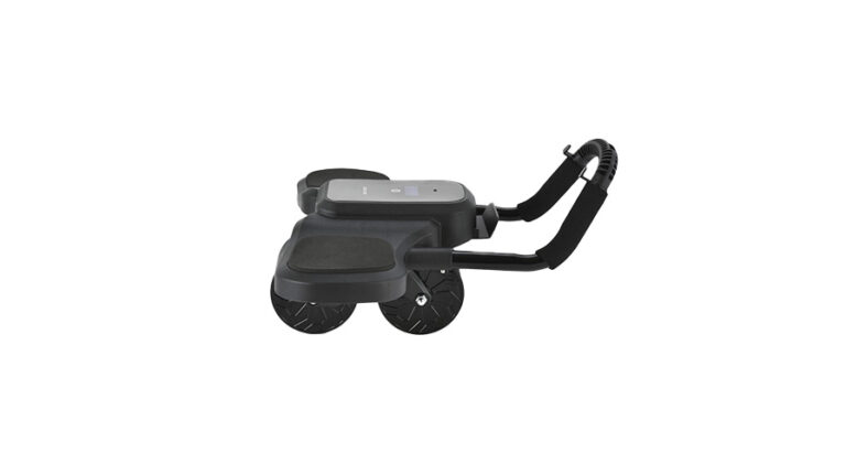 Green Lion Abs Exercise Roller
