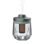 Green Lion Crystal Fragrance Diffuser