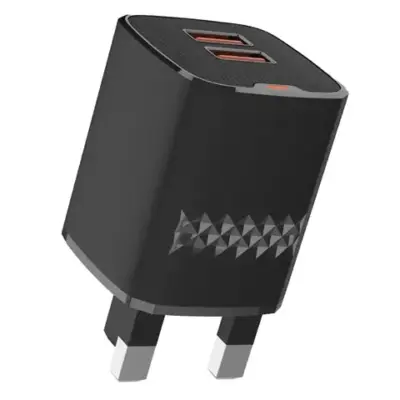 Green Lion Dual Port Wall Charger