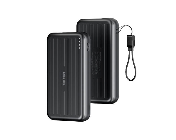 Green Lion Dynamo 10000mAh Powerbank