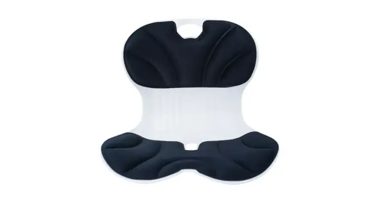 Green Lion Ergo Seat Cushion
