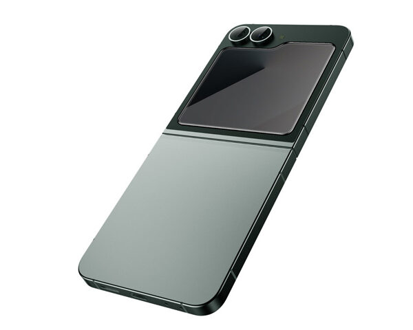 Green Lion Flip Protection Pack Privacy For Z Flip 6