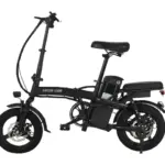 Green Lion GBK-100 Electric Bike