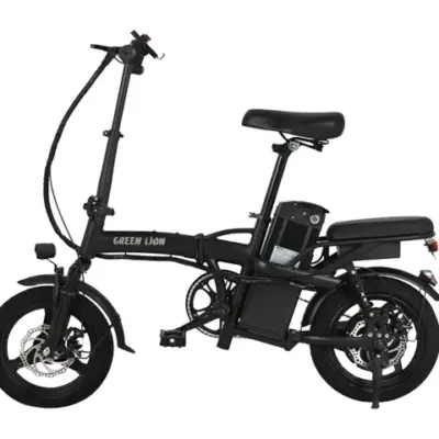 Green Lion GBK-100 Electric Bike