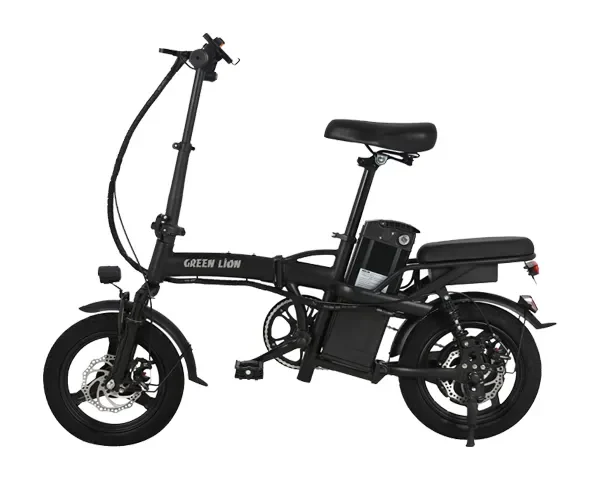 Green Lion GBK-100 Electric Bike