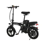 Green Lion GBK-100 Electric Bike