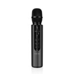 Green Lion Karaoke Microphone