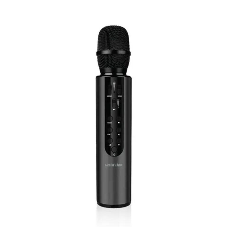 Green Lion Karaoke Microphone