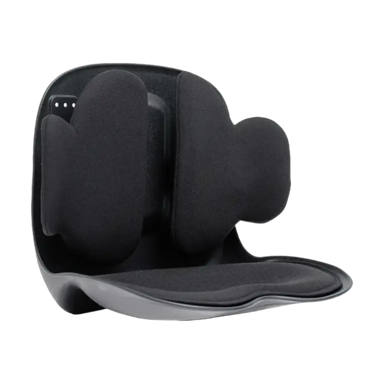 Green Lion Lumbar Pro Adjustable Back Support