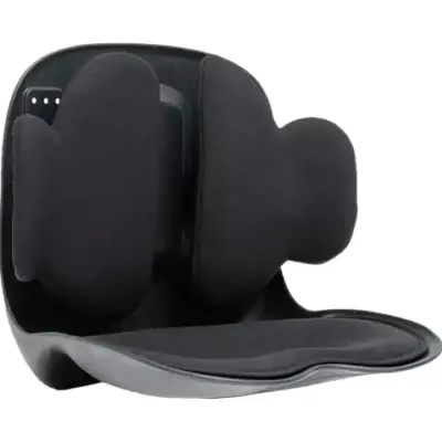Green Lion Lumbar Pro Adjustable Back Support