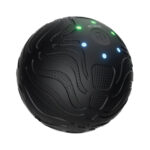 Green Lion Massage Ball