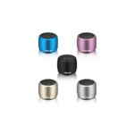 Green Lion Mini Speaker