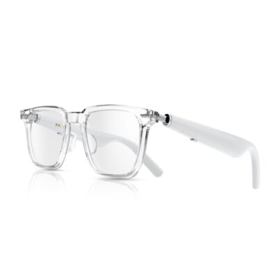 Green Lion Munich Smart Glasses
