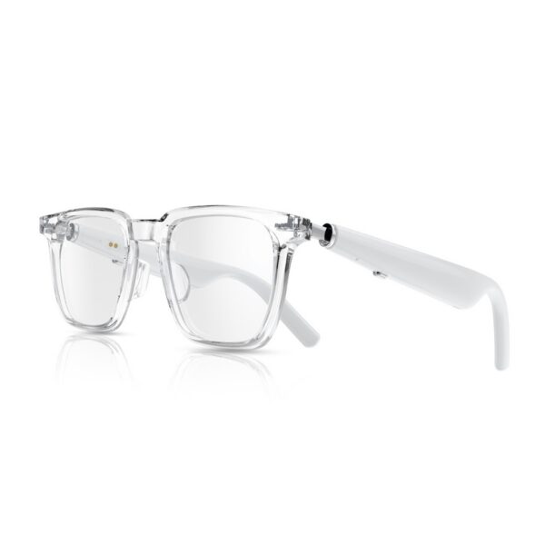 Green Lion Munich Smart Glasses