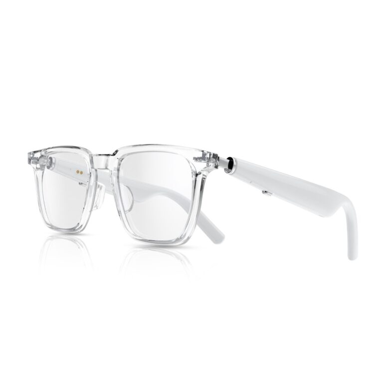 Green Lion Munich Smart Glasses