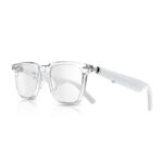Green Lion Munich Smart Glasses