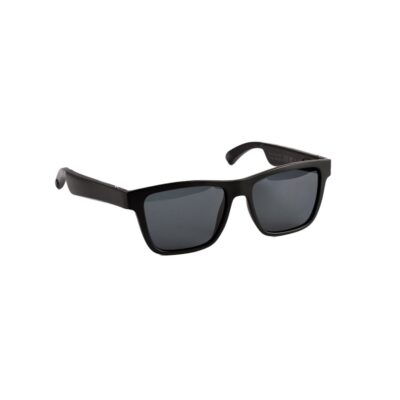 Green Lion Paris Smart Audio Glass