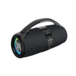 Green Lion Parma Wireless Speaker