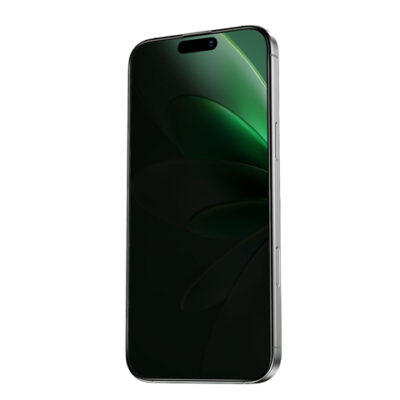 Green Lion Picasso 3D Privacy Glass With Alignment Tray for iPhone 16 Series