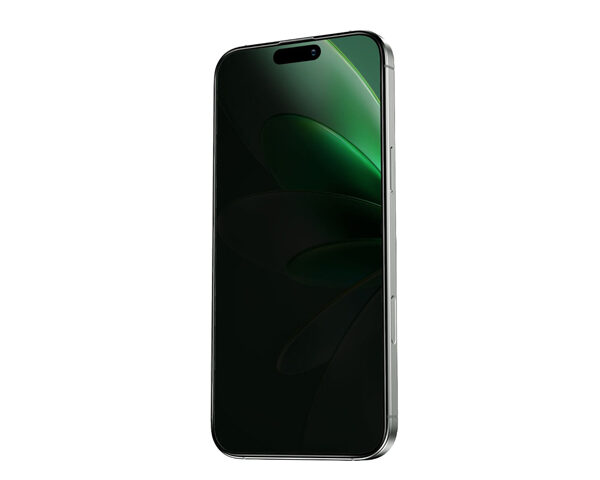 Green Lion Picasso 3D Privacy Glass With Alignment Tray for iPhone 16 Series