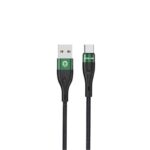 Green Lion USB-A to Type-C Braided Cable 3M