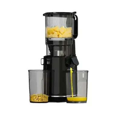 Porodo Lifestyle Cold Press Slow Juicer