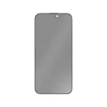 Green Lion 9H Steve Matte Privacy Glass for iPhone 17 Pro/Pro Max - Black Edge/Privacy
