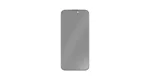 Green Lion 9H Steve Matte Privacy Glass for iPhone 17 Pro/Pro Max - Black Edge/Privacy