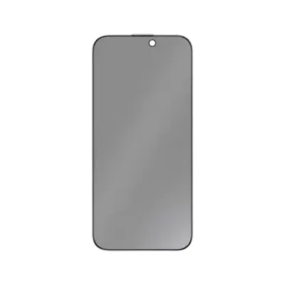 Green Lion 9H Steve Matte Privacy Glass for iPhone 17 Pro/Pro Max - Black Edge/Privacy