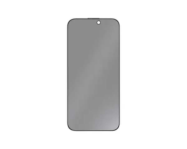 Green Lion 9H Steve Matte Privacy Glass for iPhone 17 Pro/Pro Max - Black Edge/Privacy