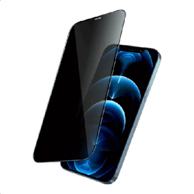 Green Lion 9H Steve Privacy Full Glass Screen Protector for iPhone 11 Pro – Black