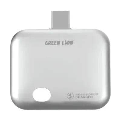 Green Lion Auto-Disconnect Smart Charger - Gray
