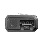 Green Lion G-Radio Lite with Power Bank & Flashlight - Black